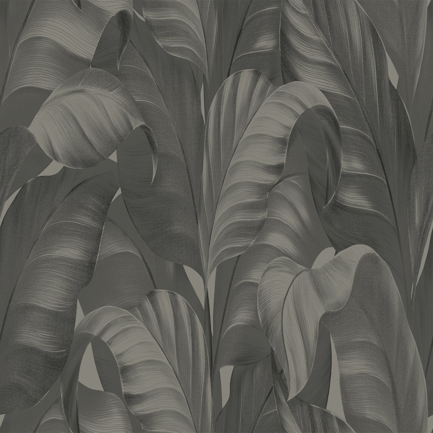 Sumatra Charcoal Wallpaper by Belgravia Décor