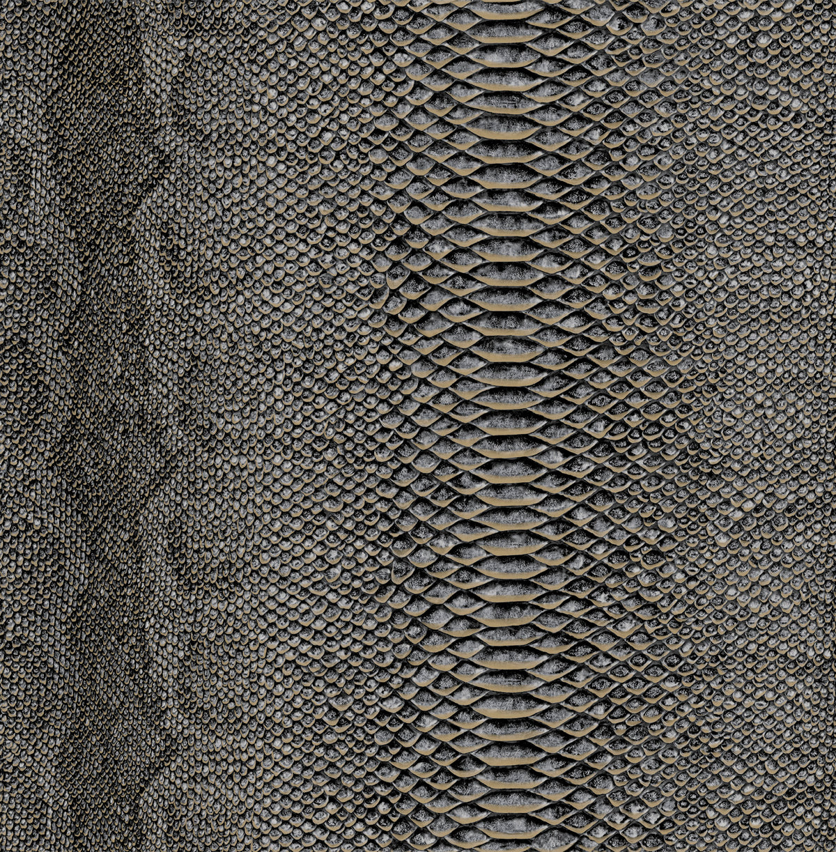 Animal Skin Charcoal Wallpaper by Belgravia Décor