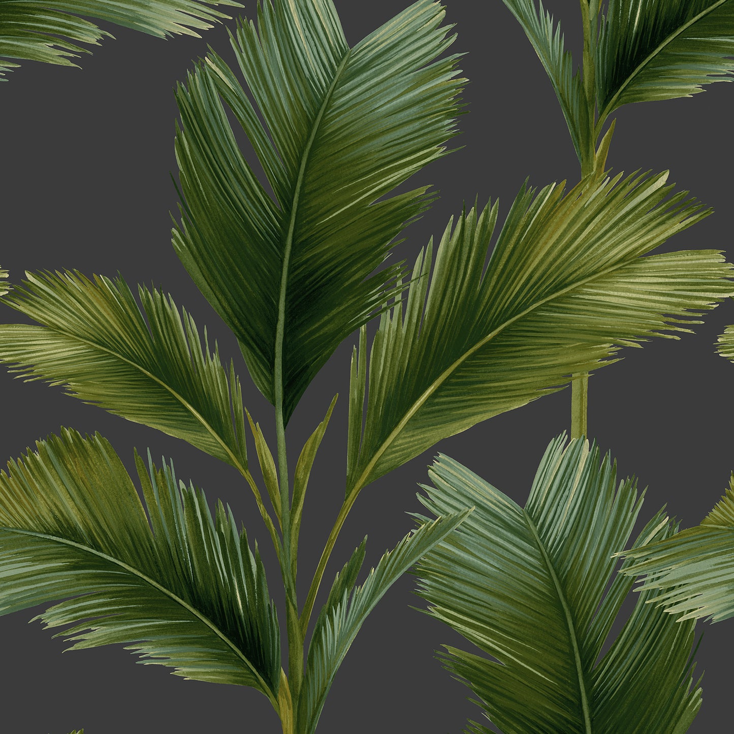 Kailani Leaf Charcoal/Green Wallpaper by Belgravia Décor